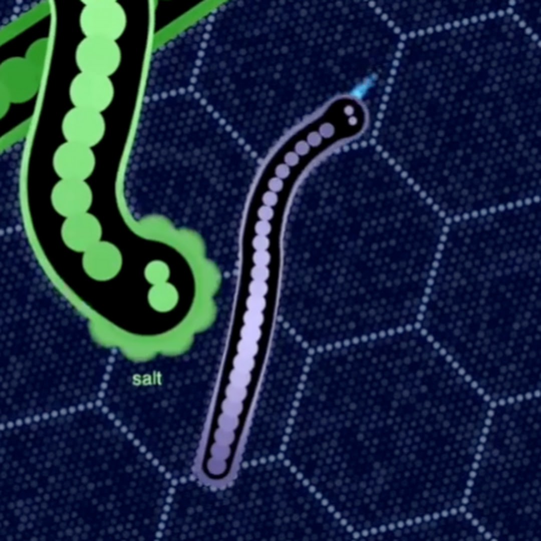 doristhesnake
