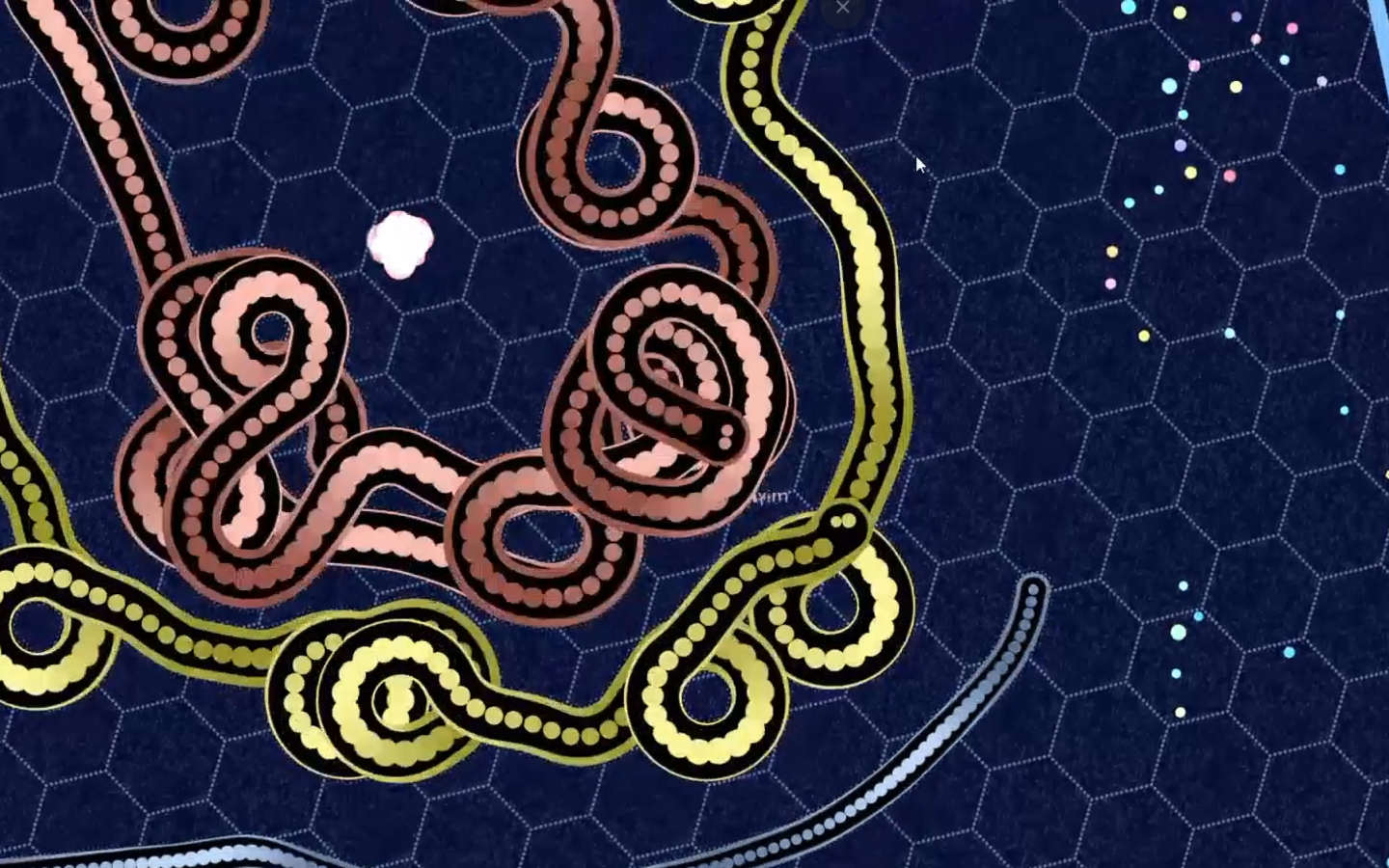 Gameplay Highlight